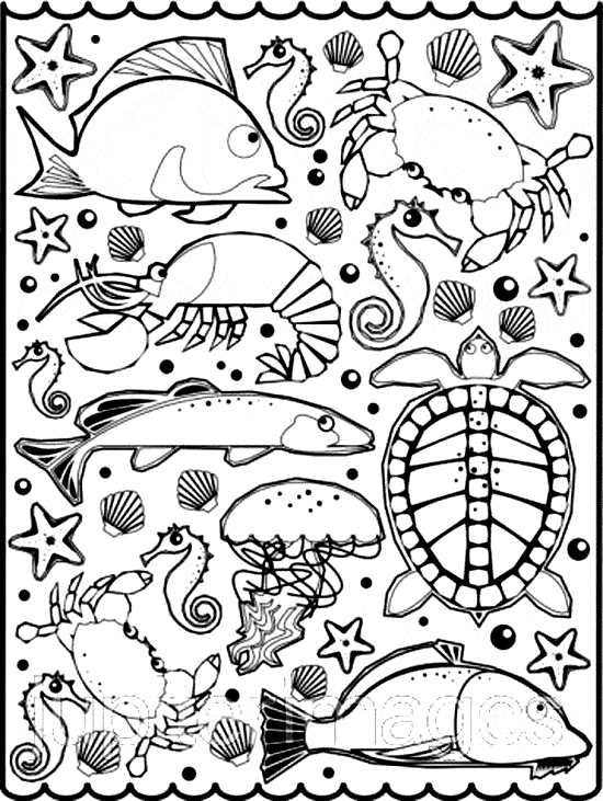 Download Mollusk coloring - Free Animal coloring pages sheets Mollusk