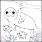 Monk Seal coloring page