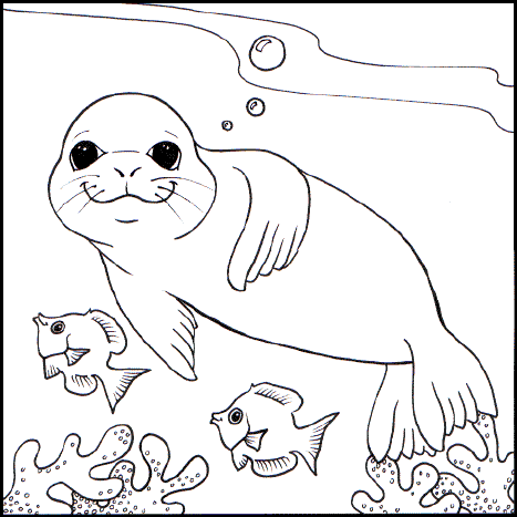 free Monk Seal coloring page