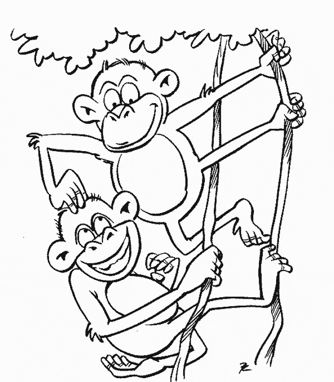 free Monkey coloring page