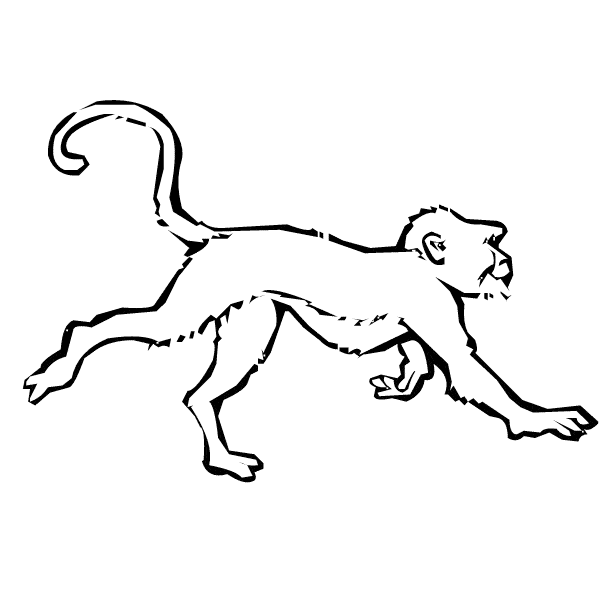 free Monkey coloring page
