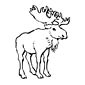 Moose coloring page