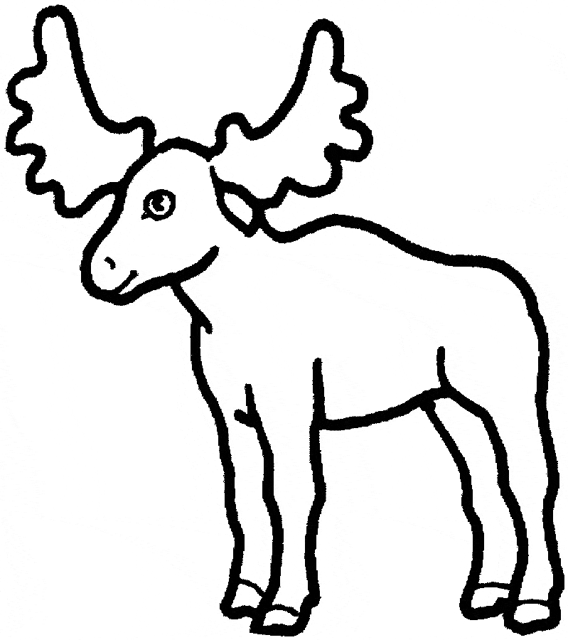 free Moose coloring page