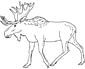 Moose coloring page