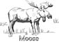 Moose coloring page