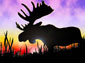 moose desktop wallpaper