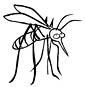 Mosquito coloring page