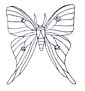 Moth coloring page