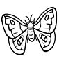 Moth coloring page