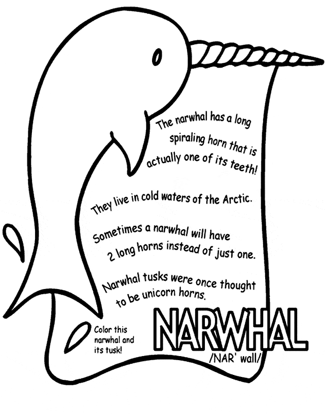 free Narwhal coloring page