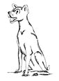 New Guinea Singing Dog coloring page