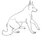 new guinea singing dog coloring page