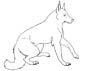 New Guinea Singing Dog coloring page