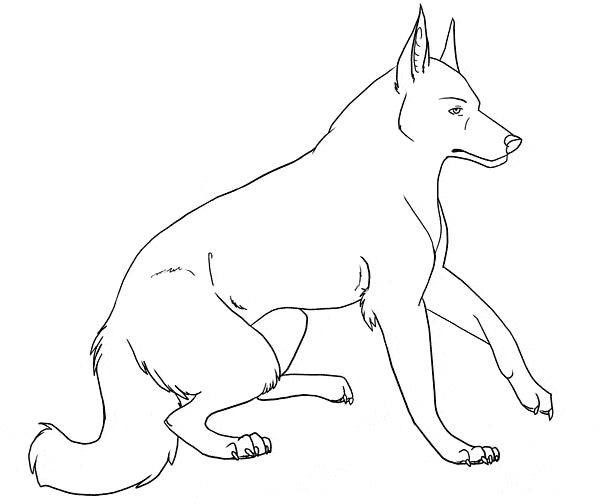free New Guinea Singing Dog coloring page