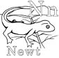 newt coloring sheet