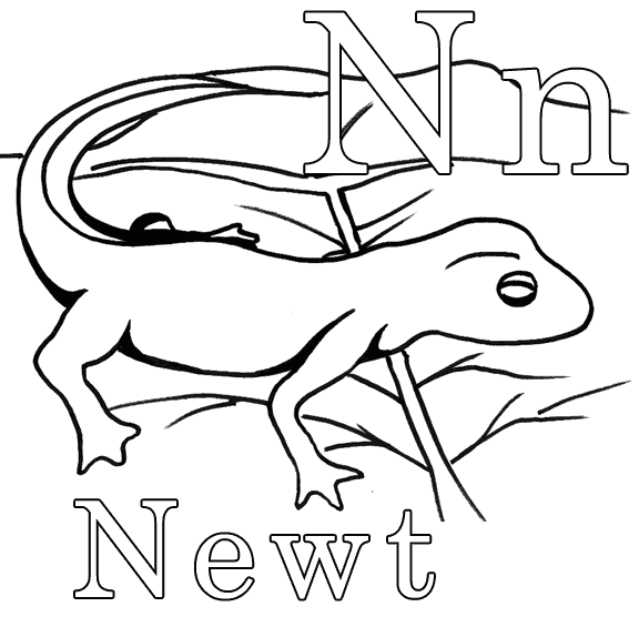 free Newt coloring page