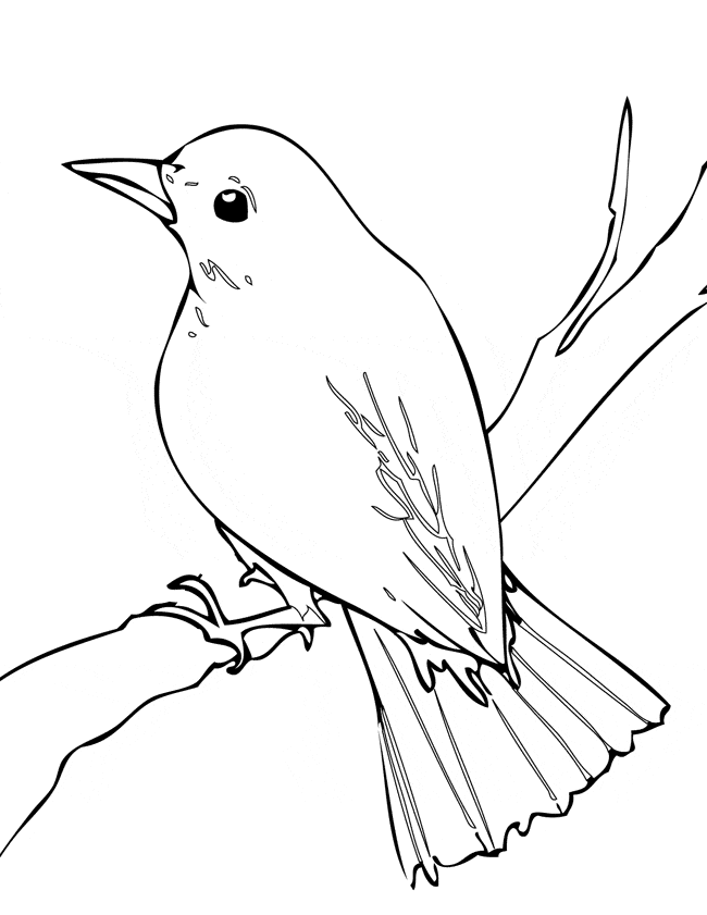 free Nightingale coloring page