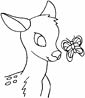 Nilgai coloring page