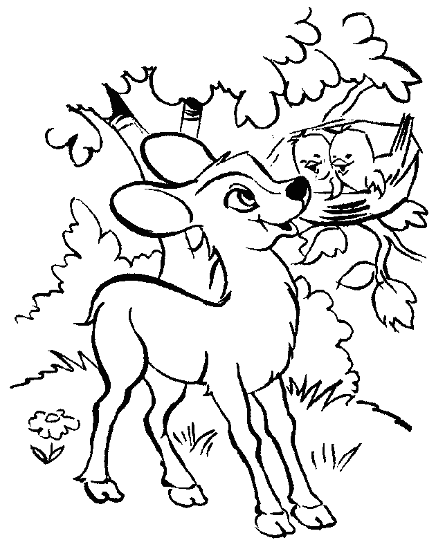 free Nilgai coloring page