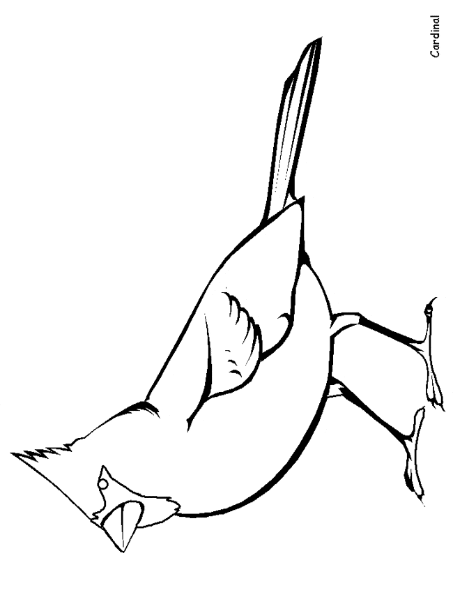 Download Northern Cardinal coloring page - Animals Town - animals ...