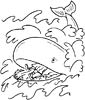 Northern Right Whale coloring page