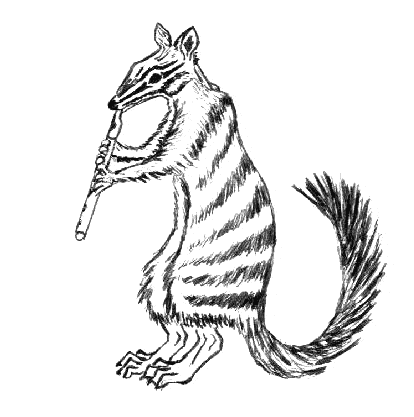 free Numbat coloring page