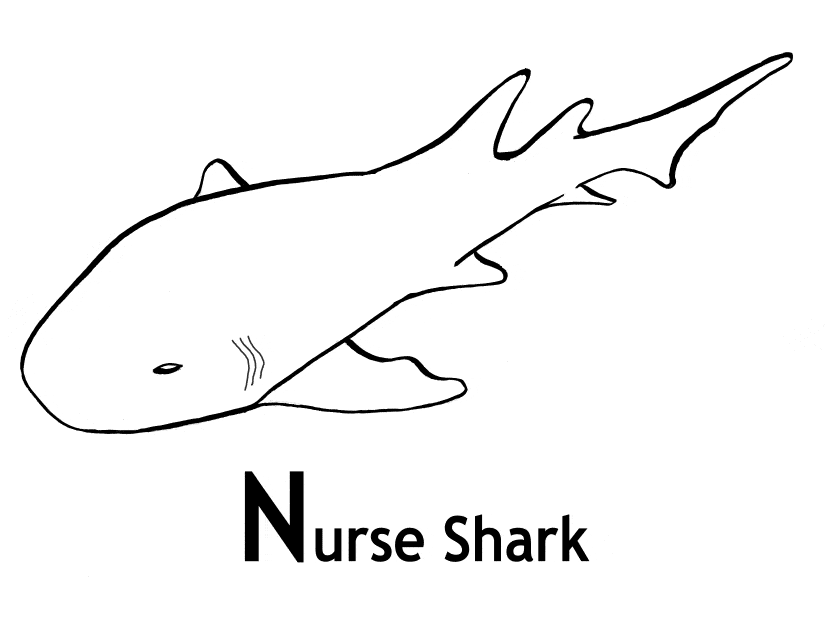 free Nurse Shark coloring page