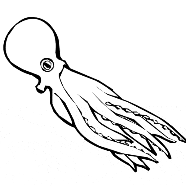 free Octopus coloring color page