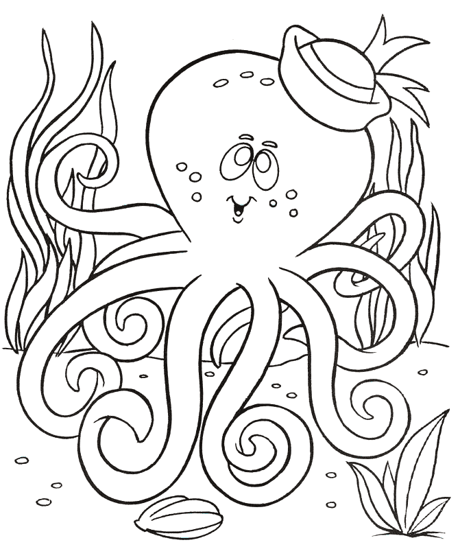 free Octopus coloring color page