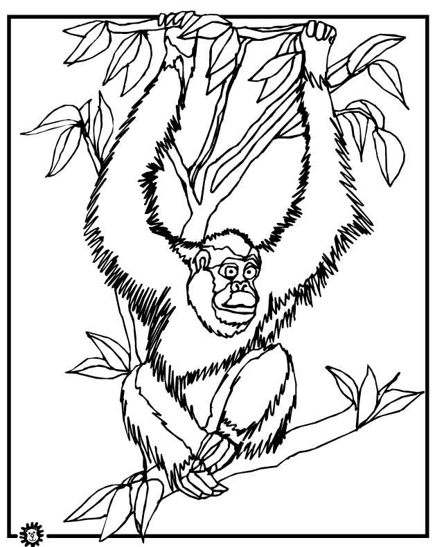 free Orangutan coloring page