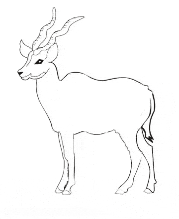 free Oryx coloring page
