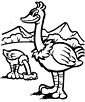 Ostrich coloring page