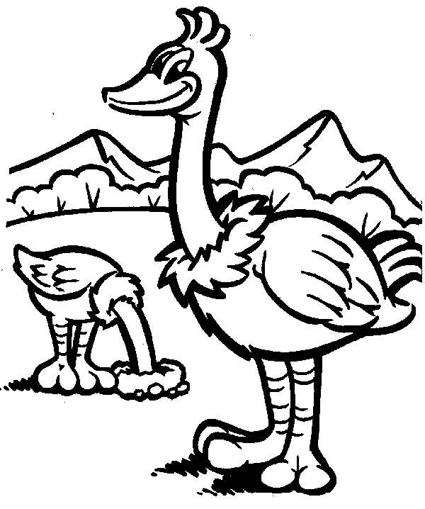 free Ostrich coloring page