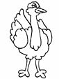 Ostrich coloring page