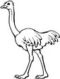 ostrich color sheet