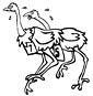 Ostrich coloring page