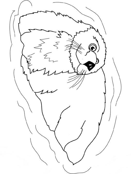 free Otter coloring page