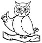 owl coloring page