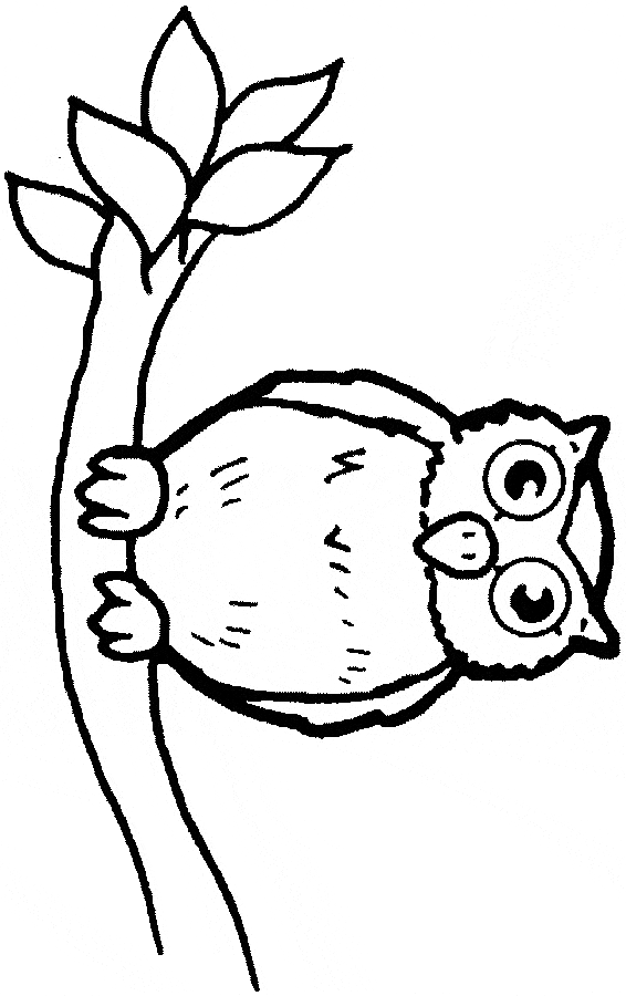 Owl a branch coloring page