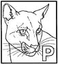 Panther coloring page