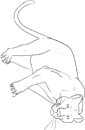 panther coloring page