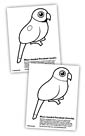 Parakeet coloring page