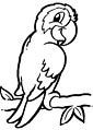 Parrot coloring page