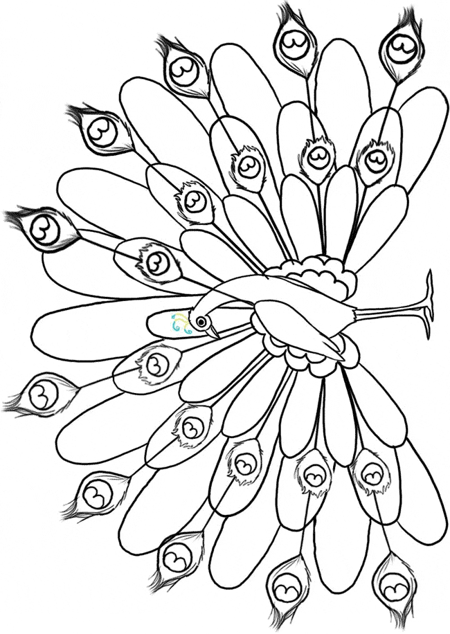 free Peacock coloring page