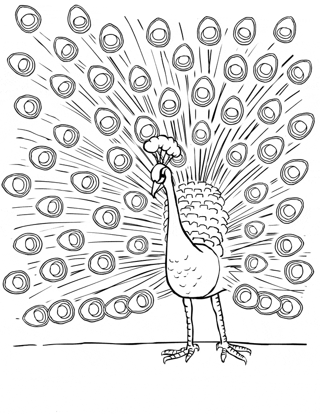 free Peacock coloring page