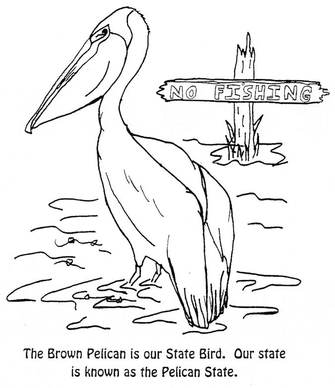 free Pelican coloring page