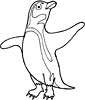 Penguin coloring page