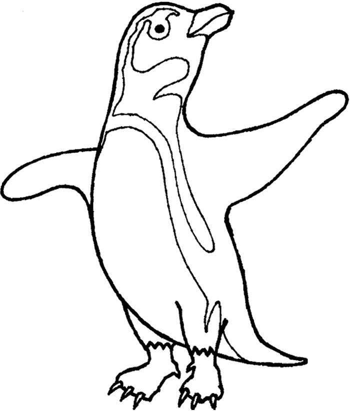 free Penguin coloring page