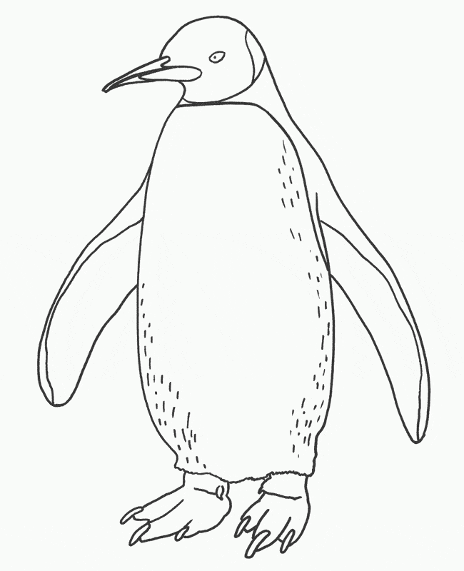 free Penguin coloring page