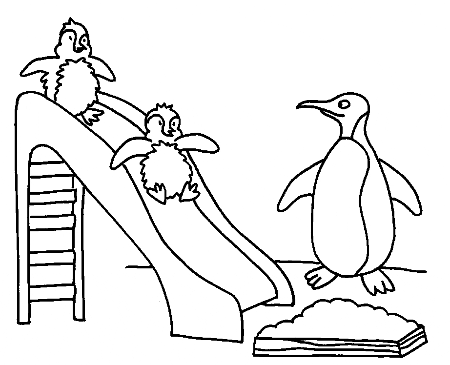 free Penguin coloring page